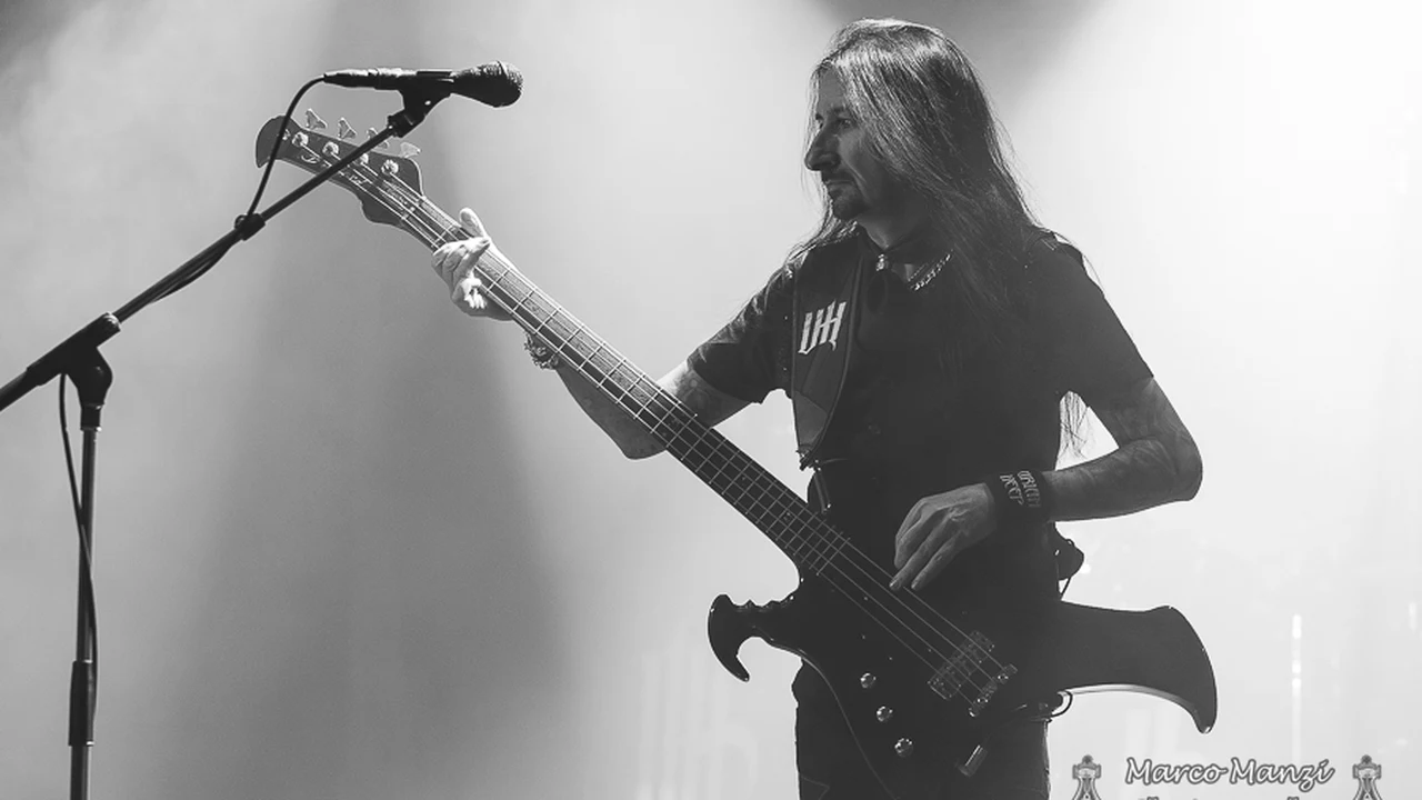 Davey Rimmer en vivo